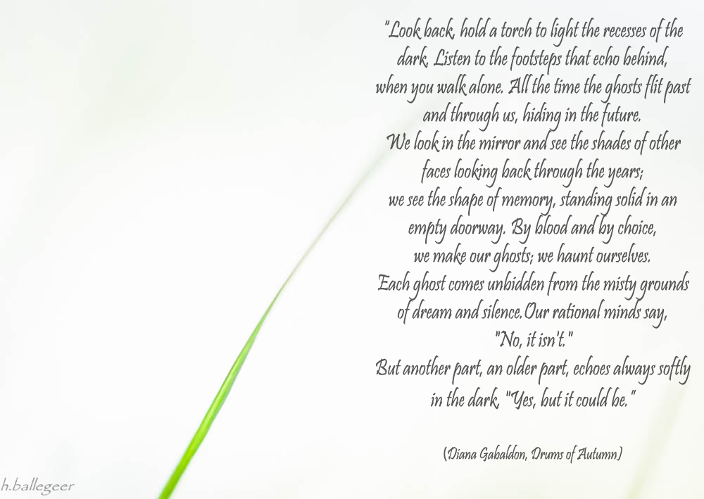 Quotes of Diana Gabaldon
