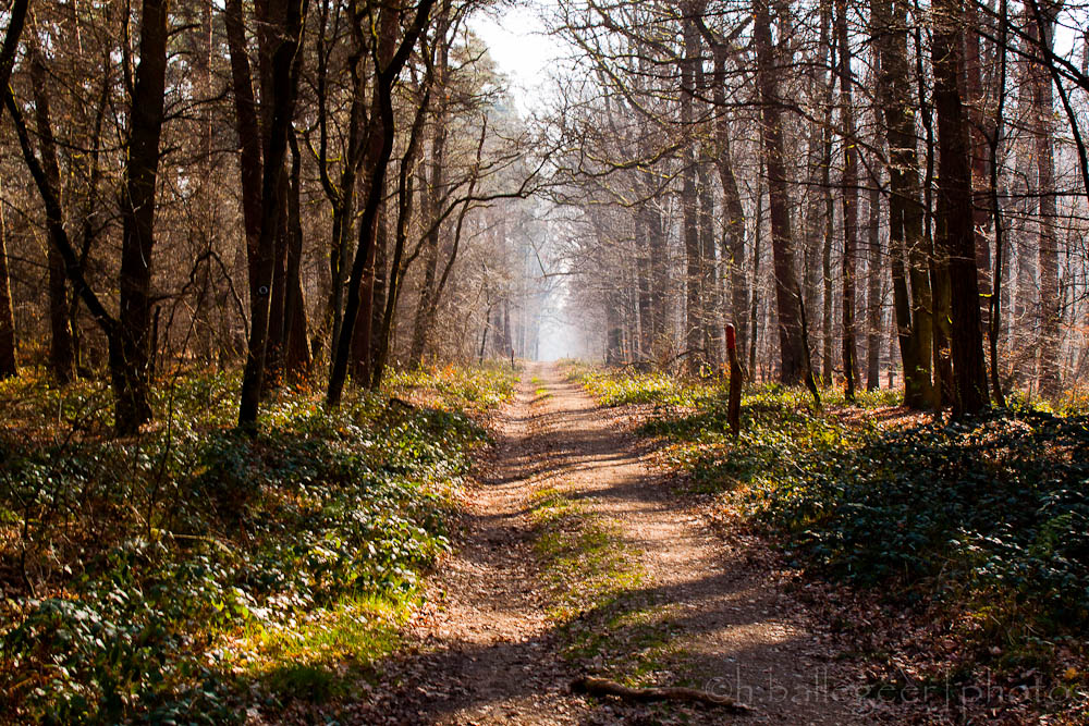 kein Mensch in der Wahner Heide