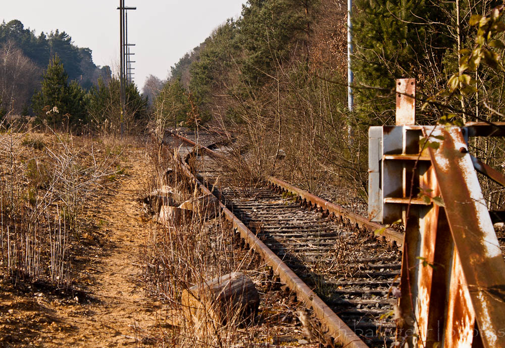 alte Schienen in der Wahner Heide